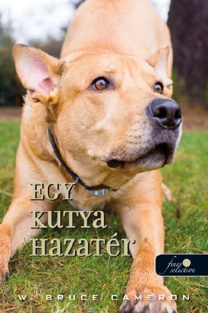 [A Dog's Way Home 01] • Egy kutya hazatér